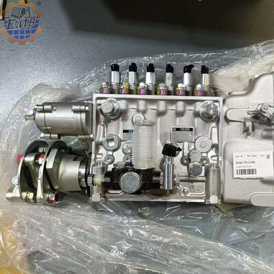 6162-75-2160 Dieselmotoren Kraftstoffspritze 106682-9551 PC1250-7 SA6D170E-2A Kraftstoffpumpe